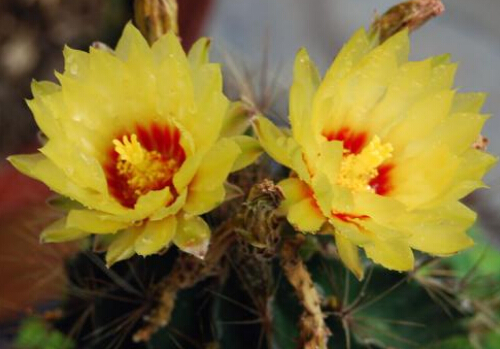 ��������L(f��ng)ˮ�W(xu��)��(y��ng)��-�������ڼҾ��е�����