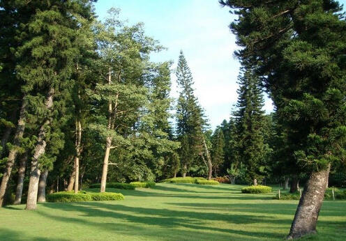 ����ɼ�c�Ҿ��L(f��ng)��Ĵ���-����ɼ���L(f��ng)ˮ�W(xu��)��(y��ng)��