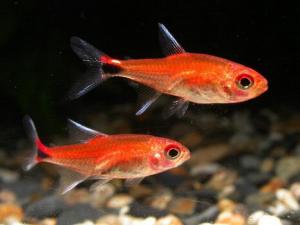 ���~��Ʒ�N��B-���~���~�ה[��λ��