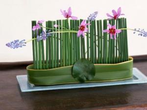 ����ȩ�ķ����Լ���ȩ���Ч����PK