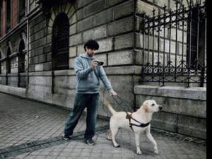 in詞是什么意思?網絡熱語in語是什么意思