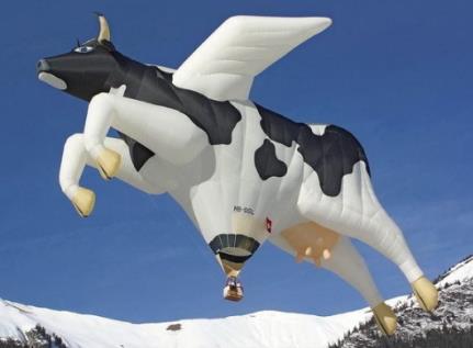 ţ����ʲô��˼��ţB��ţb��NB��nb��ʲô��˼