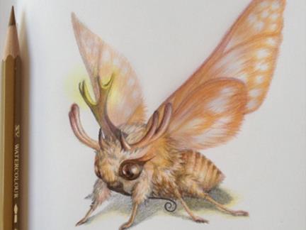 �۶�����ʲô��˼���۶���߀��������