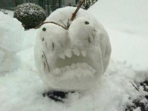 奇葩是什么意思?網(wǎng)絡(luò)用語(yǔ)奇葩男女是什么意思