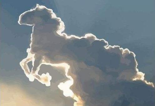 神馬都是浮云1.jpg