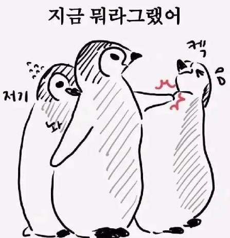 阿西吧是什么意思 阿西吧為什么在韓國(guó)是罵人話(huà) 韓語(yǔ)罵人的話(huà)中文讀法