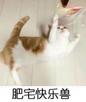 肥宅快樂套餐是什么意思?什么梗?肥宅快樂套餐表情包火遍網絡