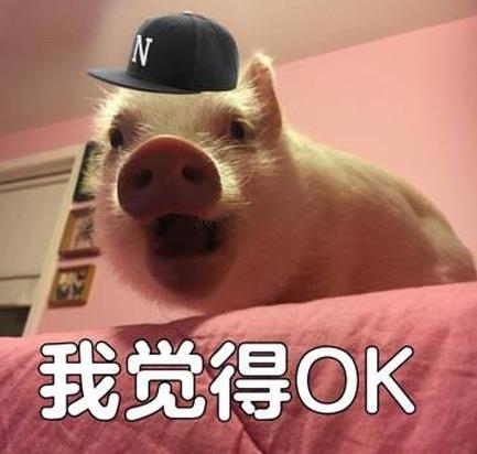 完全o幾把k是什么意思什么梗?o幾把k英文字母怎么寫?ojbk罵人話嗎