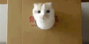 11-9=5是什么意思 秘書給老總發短信11減9等于5什么梗 11-9=5內涵暗語