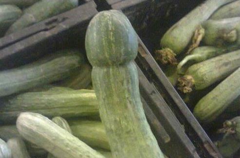 黃瓜茄子有什么污內涵意思?黃瓜茄子和藕的污段子 黃瓜幽默段子