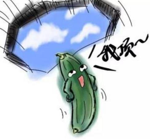 黃瓜茄子有什么污內涵意思?黃瓜茄子和藕的污段子 黃瓜幽默段子