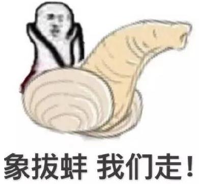 象拔蚌是什么意思什么梗?象拔蚌污內(nèi)涵 世上最下流的海鮮形似男人丁丁