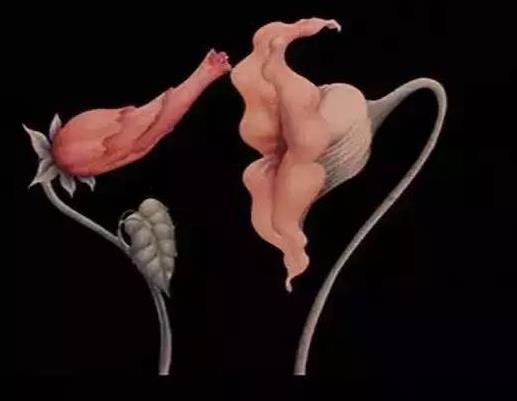 女生說3%是什么意思什么梗 百分之三的污內涵意思