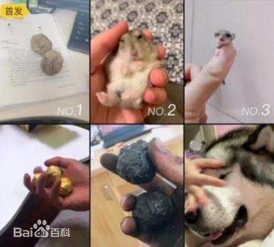 盤它是什么意思什么梗 甭管是啥盤它就對了 2019年首個網絡流行語