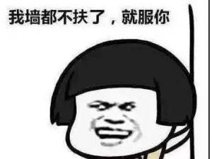 �������ͷ�����ʲô��˼ʲô�� �҉��������˾ͷ���Ķ��ӱ����