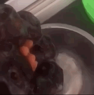 盤它是什么意思什么梗 甭管是啥盤它就對了 2019年首個網絡流行語