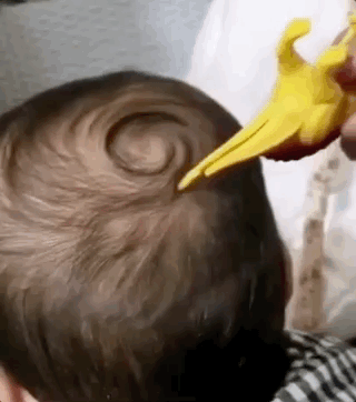 盤它是什么意思什么梗 甭管是啥盤它就對了 2019年首個網絡流行語