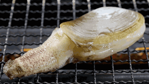 象拔蚌是什么意思什么梗?象拔蚌污內(nèi)涵 世上最下流的海鮮形似男人丁丁