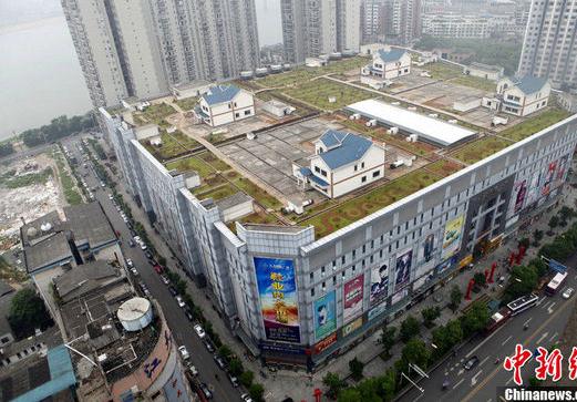 �������ެF����ţ��프e����-��؛�̈���픬F���e����