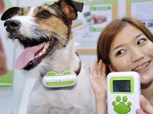 ���Z�ܷ��g����Ԓ�����Z���g�C�W(w��ng)�ϟ��u�����Z���g�C���Æ�