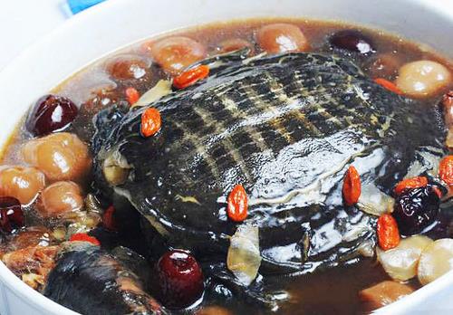 哪些人不適合吃甲魚?食用甲魚的注意事項