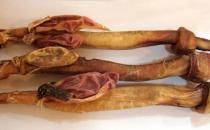 吃動物鞭能壯陽嗎？吃動物鞭補腎壯陽的禁忌