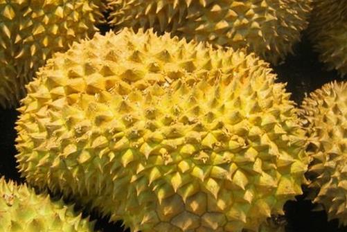 如何挑選榴蓮？吃榴蓮的注意事項