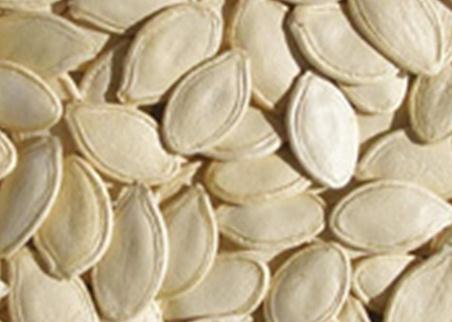 男性食療養生:常吃12種食物讓男人永遠精力旺盛——南瓜子