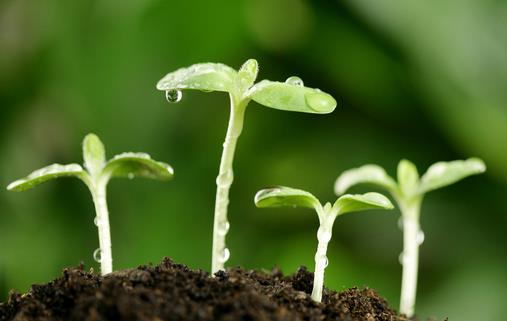 9月10日是什么節(jié)日?世界預(yù)防自殺日是幾月幾日