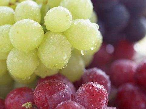 如何挑選葡萄？吃葡萄的注意事項(xiàng)