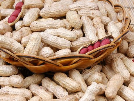 如何挑選花生?吃花生的注意事項