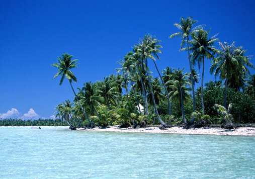 夏天別吃這些食物,小心會體臭!