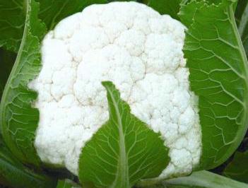 花菜的營(yíng)養(yǎng)價(jià)值