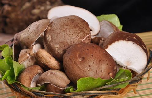 吃香菇有什么好處?香菇的營養(yǎng)價(jià)值