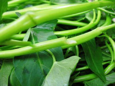 空心菜的營養價值-空心菜的功效與作用