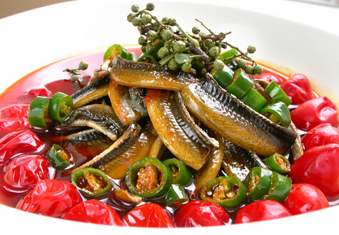 黃鱔寄生蟲是什么?黃鱔寄生蟲多嗎