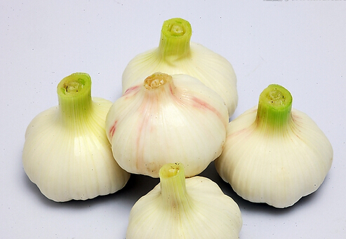 怎么吃大蒜才能有效預防癌癥？