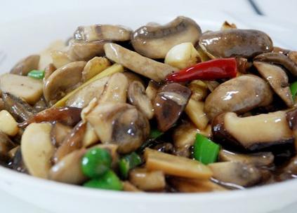 蘑菇有哪些功效與作用?吃蘑菇有什么好處