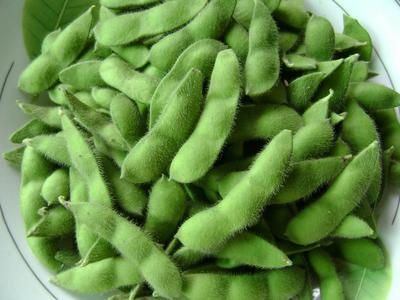 吃毛豆的好處-毛豆怎么吃有營養