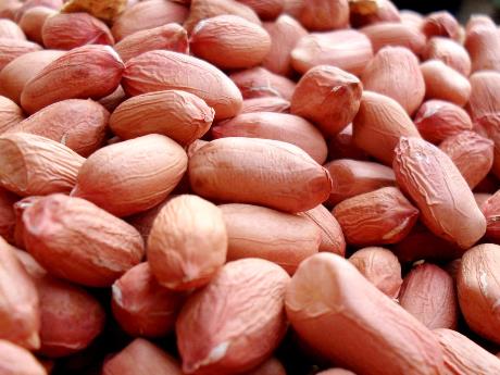 吃花生可以養肝護肝嗎？吃花生的好處