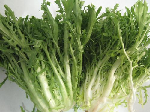 苦菊的營養價值-苦菊有什么功效