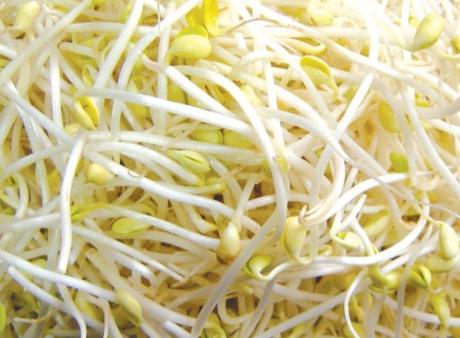 黃豆芽的營養(yǎng)價(jià)值-黃豆芽的功效與作用