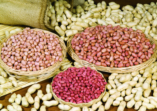 花生是高飽腹感食物-吃花生有助于穩定血糖