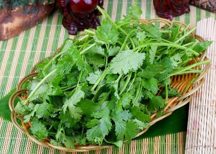 香菜怎么吃？香菜的營養價值、功效與作用