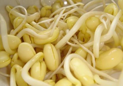 吃黃豆芽好嗎?黃豆芽的營養(yǎng)價值、功效與作用