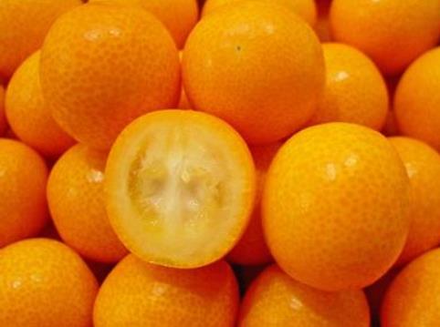 金桔的營養(yǎng)價值、功效與作用、食用禁忌