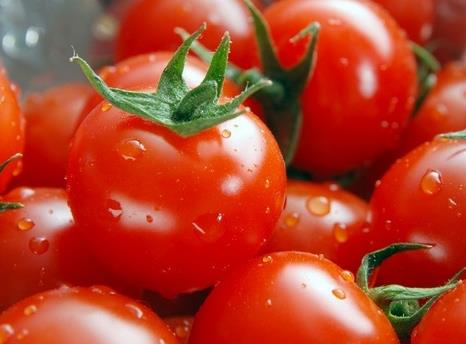 圣女果是轉基因嗎？圣女果的營養價值、功效與作用、食用禁忌