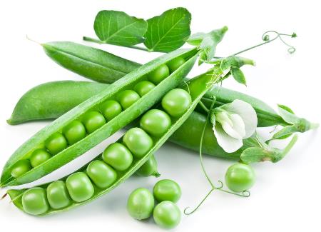 吃豌豆有什么好處?豌豆的功效與作用及禁忌