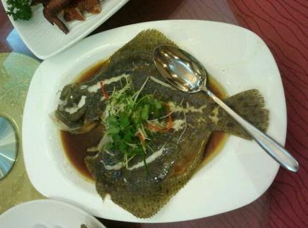 蒲魚的功效與作用,蒲魚的營養(yǎng)價(jià)值分析