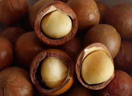 吃夏威夷果有什么好處?夏威夷果的功效與作用